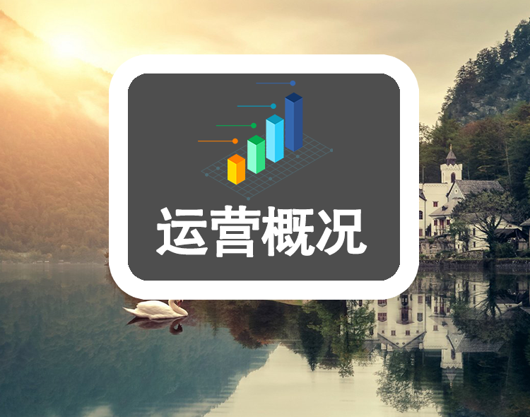 运营概况