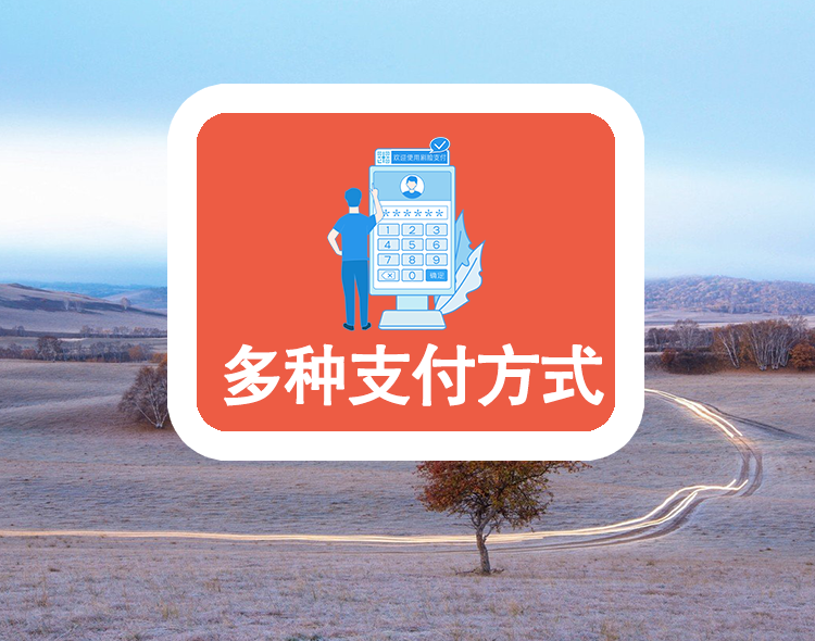 多种支付方式