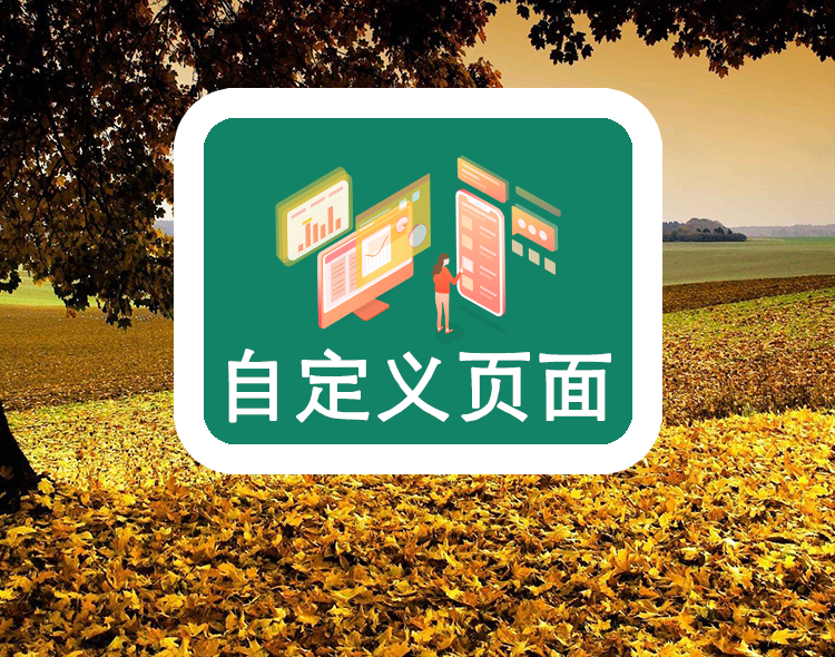 自定义页面
