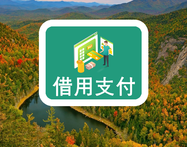 借用支付