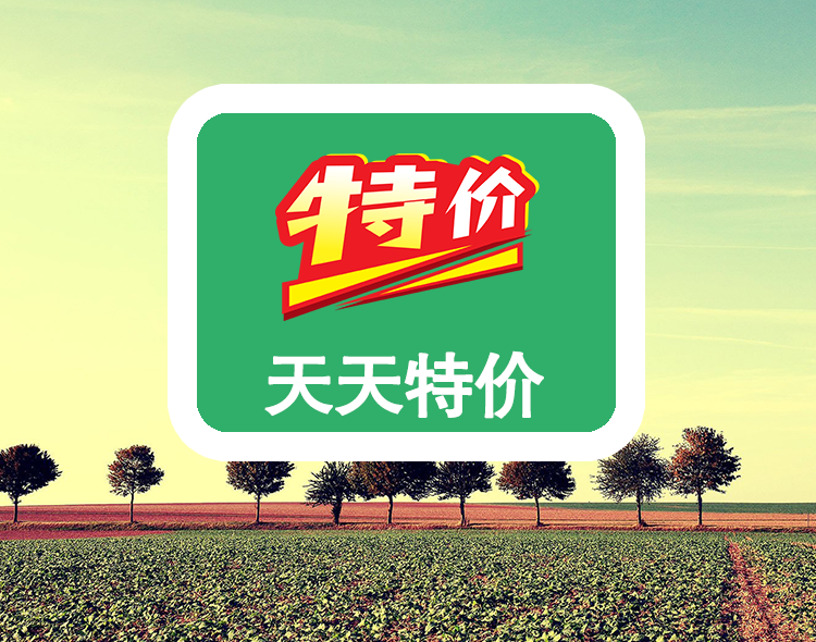 天天特价